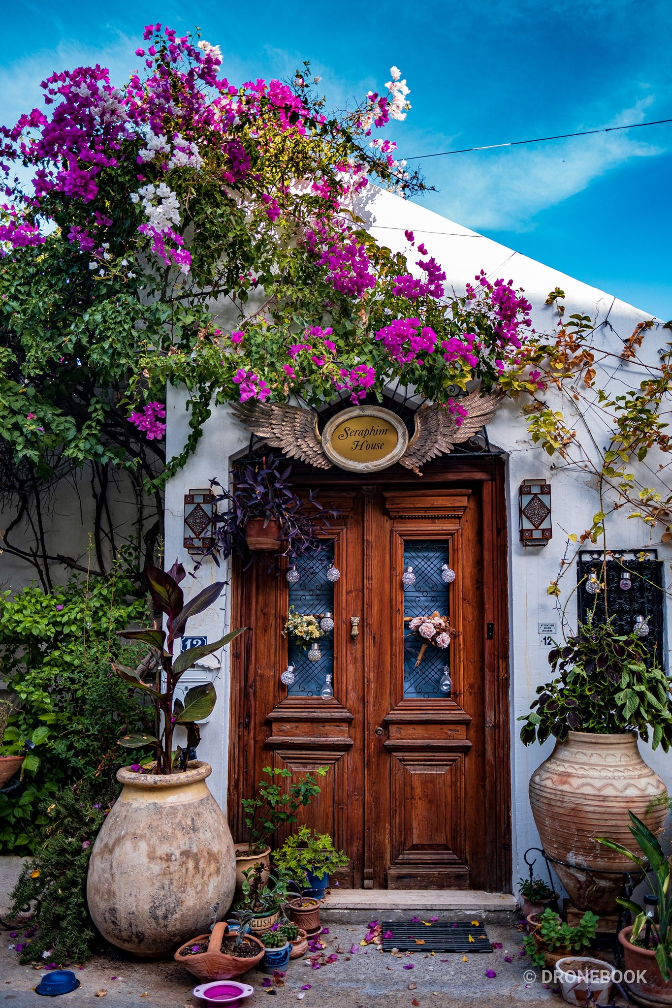 Mediterranean Living: A Complete Guide to the Lifestyle